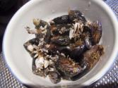 Tips To Identify Rotten Seafood